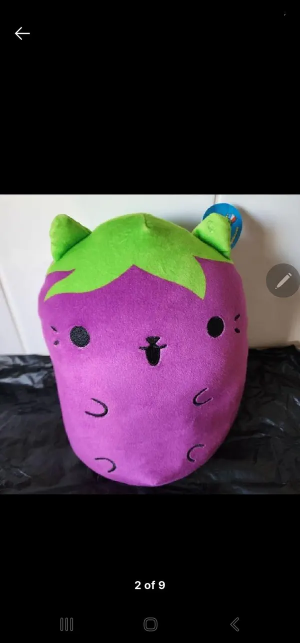 Egg plant cat v pickles