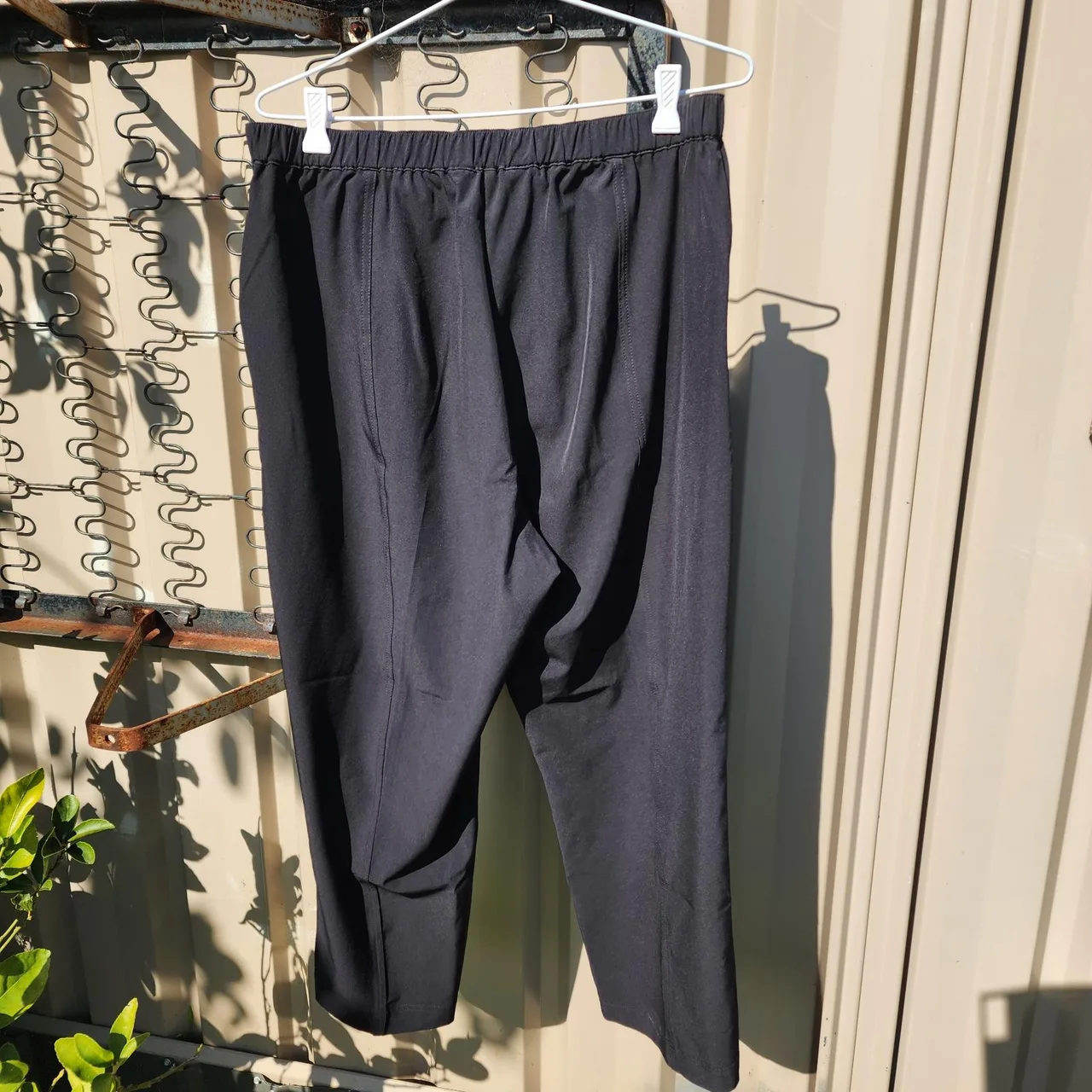 Black pepper eureka pants — photo 6
