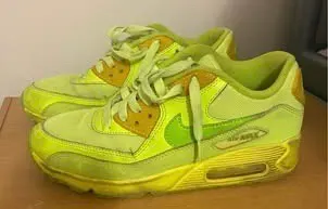 Nike Air Max Sneakers
