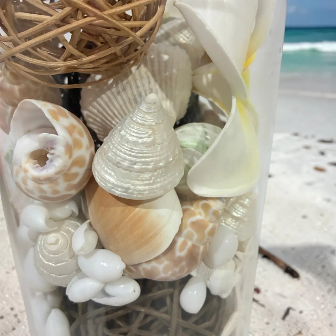 Luxury Hampton, coastal with its striking, grand-scale apothecary canister — photo 3
