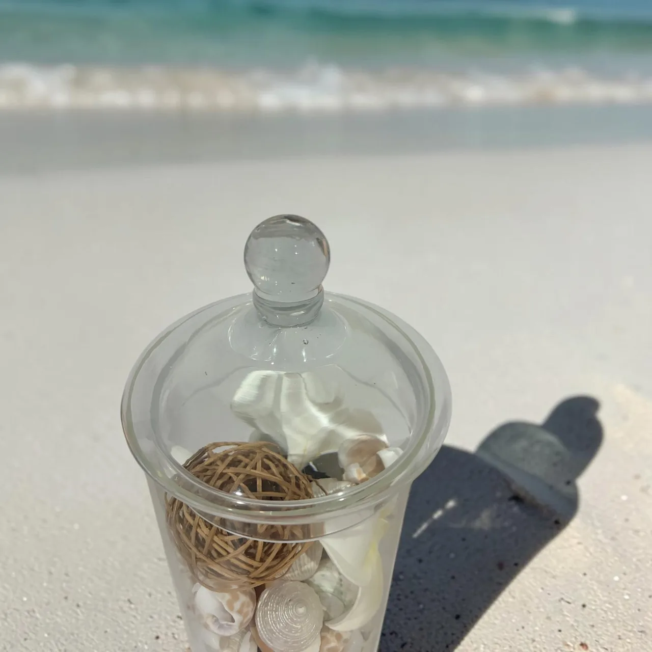 Luxury Hampton, coastal with its striking, grand-scale apothecary canister — photo 4