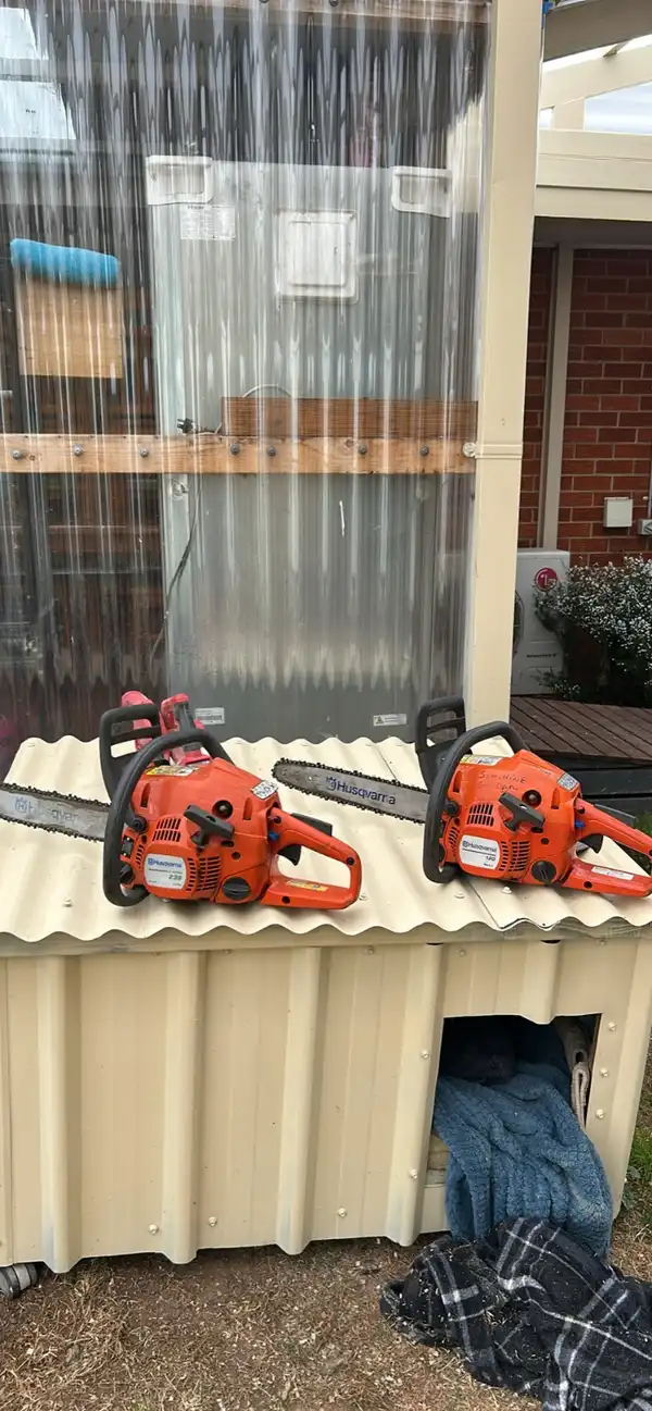 Havana chainsaw