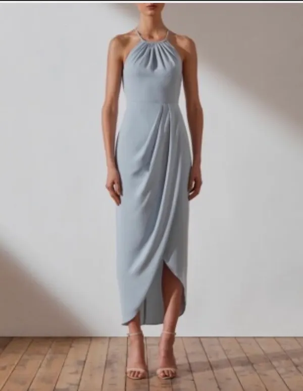 Shona Joy dress
