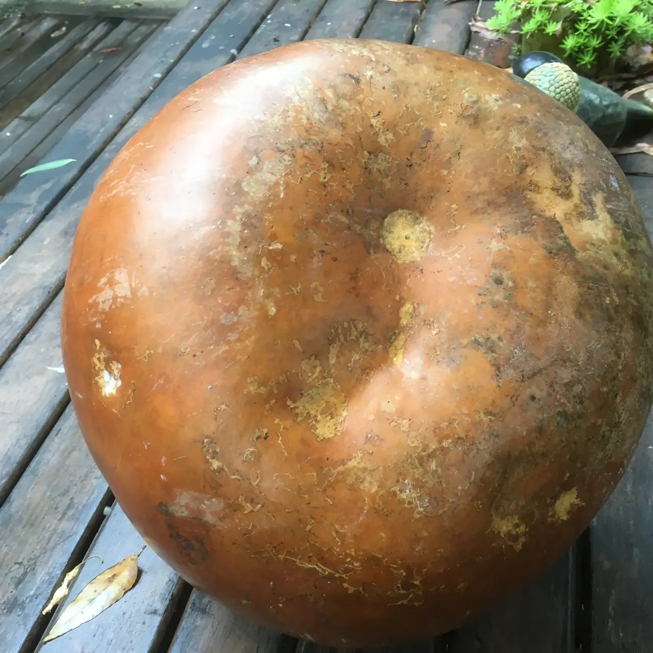 Vintage Large Hand painted Gourd with Lid – photo 6