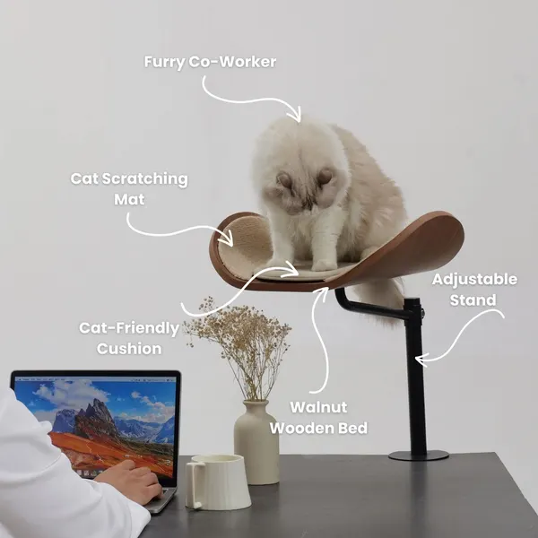 Cat desktop bed/perch Bolton to desk/bed