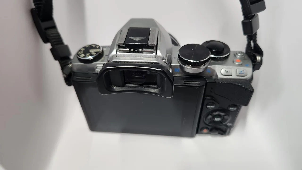 Olympus OM-D E-M10 + 14-42mm + 17mm f1.8 + Pinhole Lens – photo 2