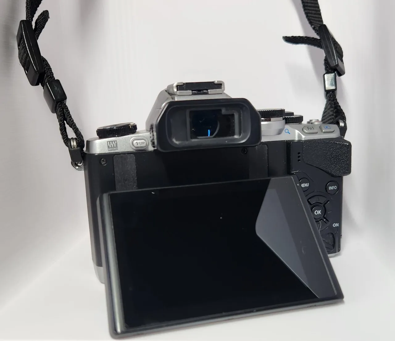 Olympus OM-D E-M10 + 14-42mm + 17mm f1.8 + Pinhole Lens – photo 3
