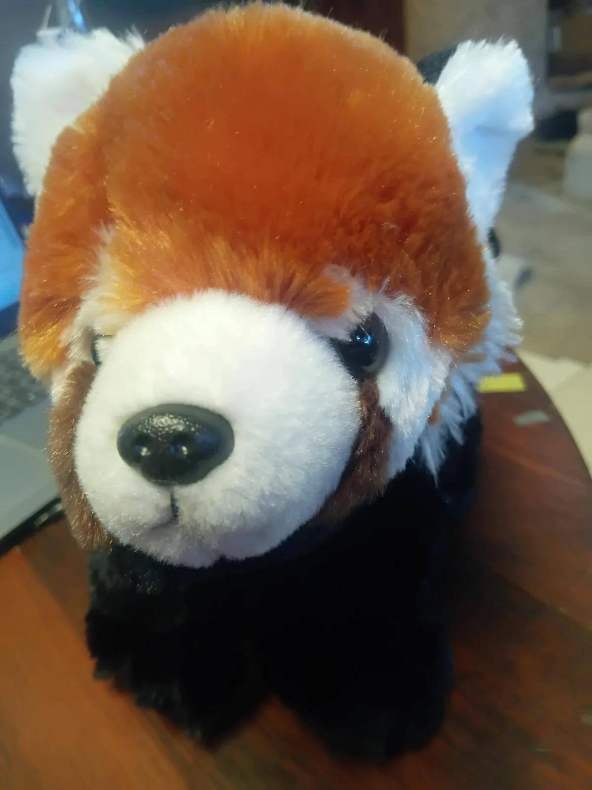 Official Australia Zoo Red Panda Plush – photo 5