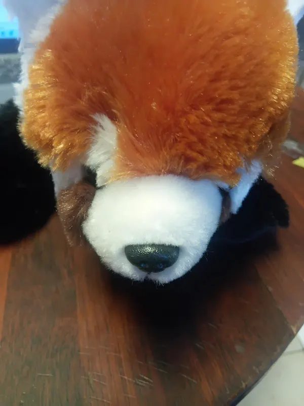 Official Australia Zoo Red Panda Plush