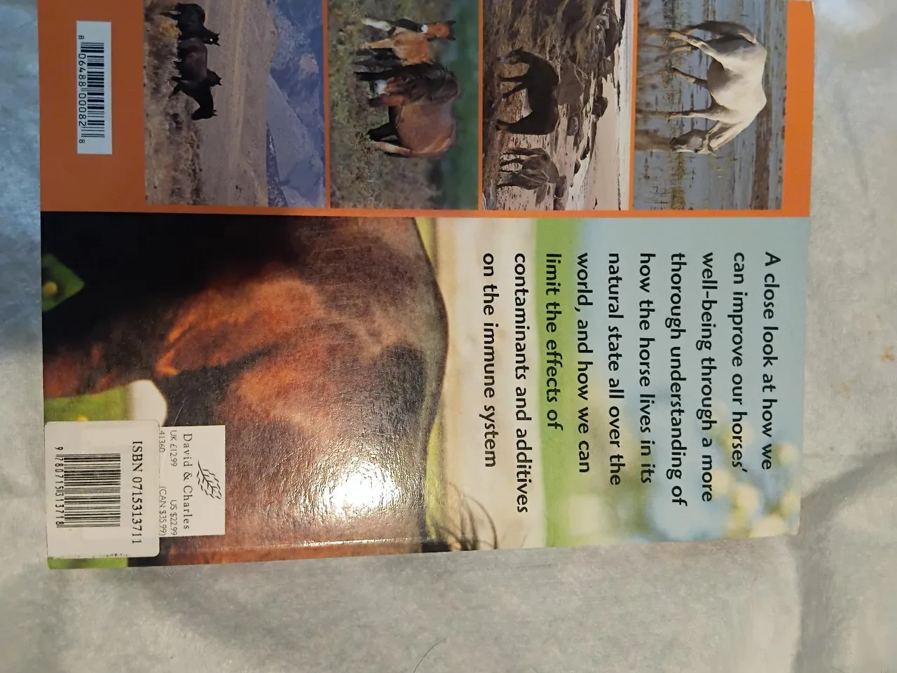 Holistic Horse Health Management  by Peter Gray — photo 2
