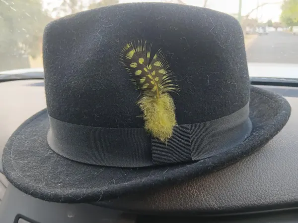 Wool Fedora Black Hat one size