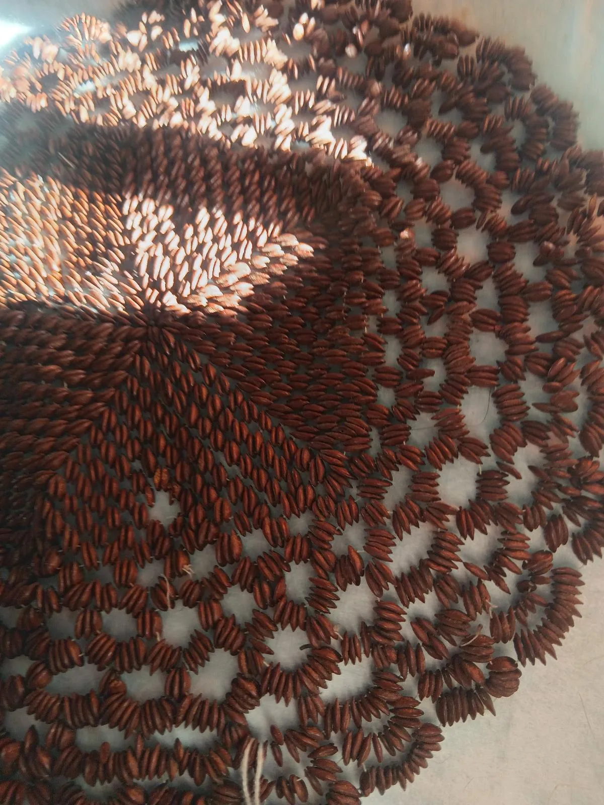 Rare Depression Era Australian Handmade Appleseed Mat — photo 2
