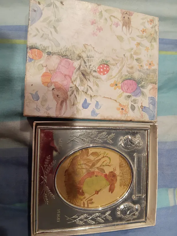 Beatrice Potter Silver Plated Birth Record frame