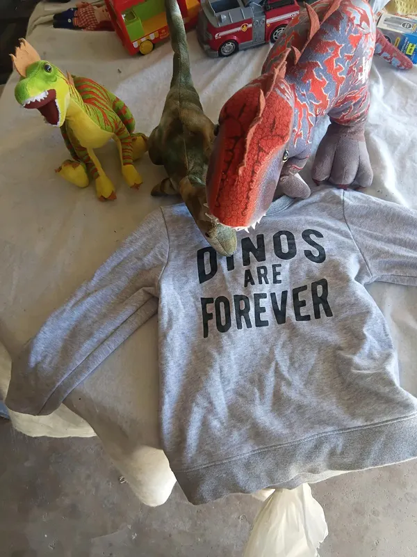 Ultimate Dino Bundle – 3x Jurassic Park Plushies + H&M Jumper 🦕