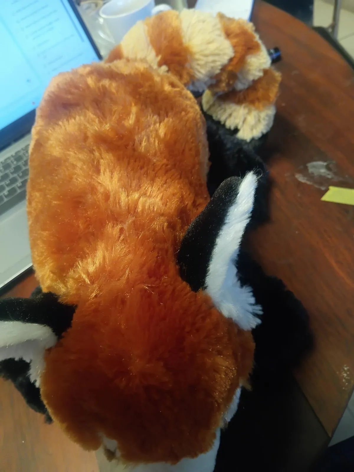 Official Australia Zoo Red Panda Plush – photo 2