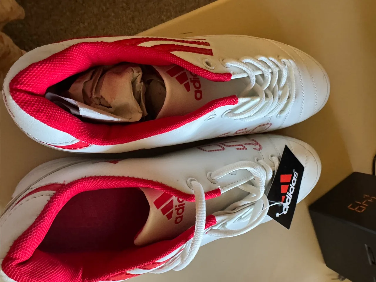 Sports Shoe — photo 3