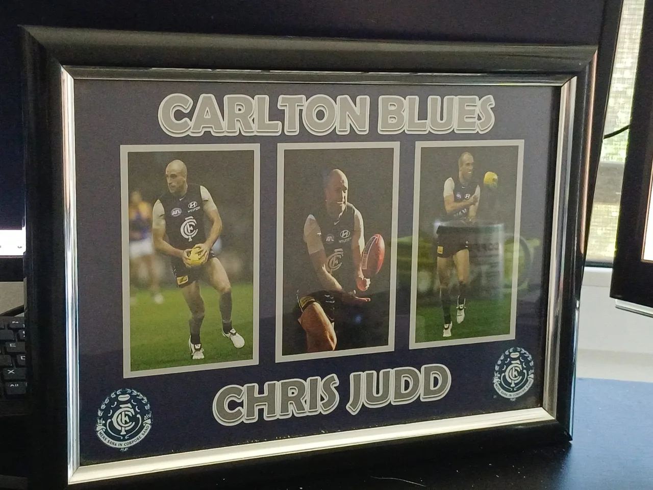 Carlton Blues - Chris Judd — photo 2