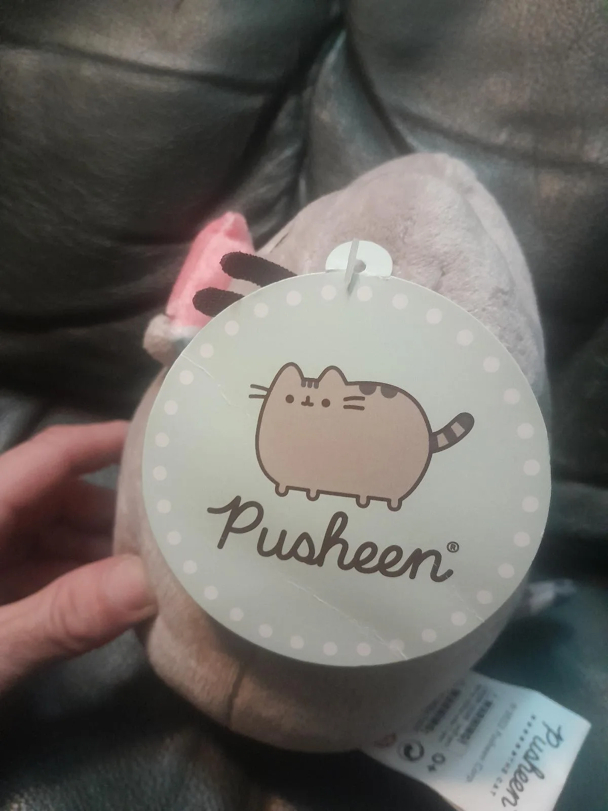 Pusheen – photo 2