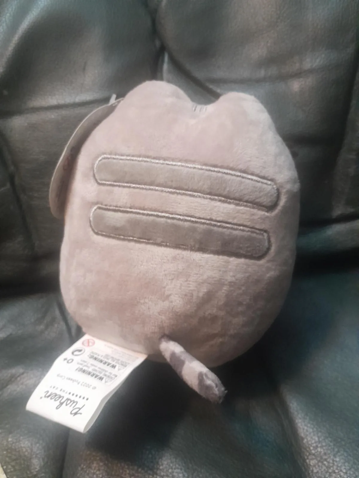 Pusheen – photo 3