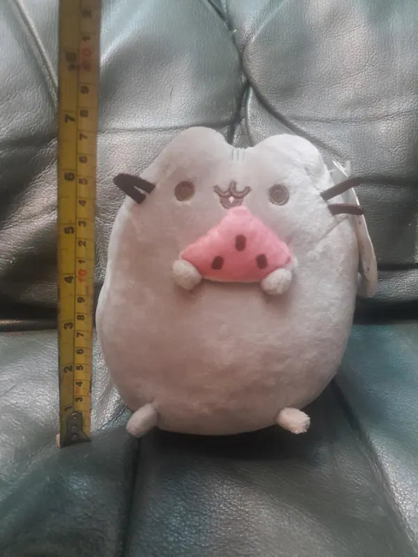 Pusheen