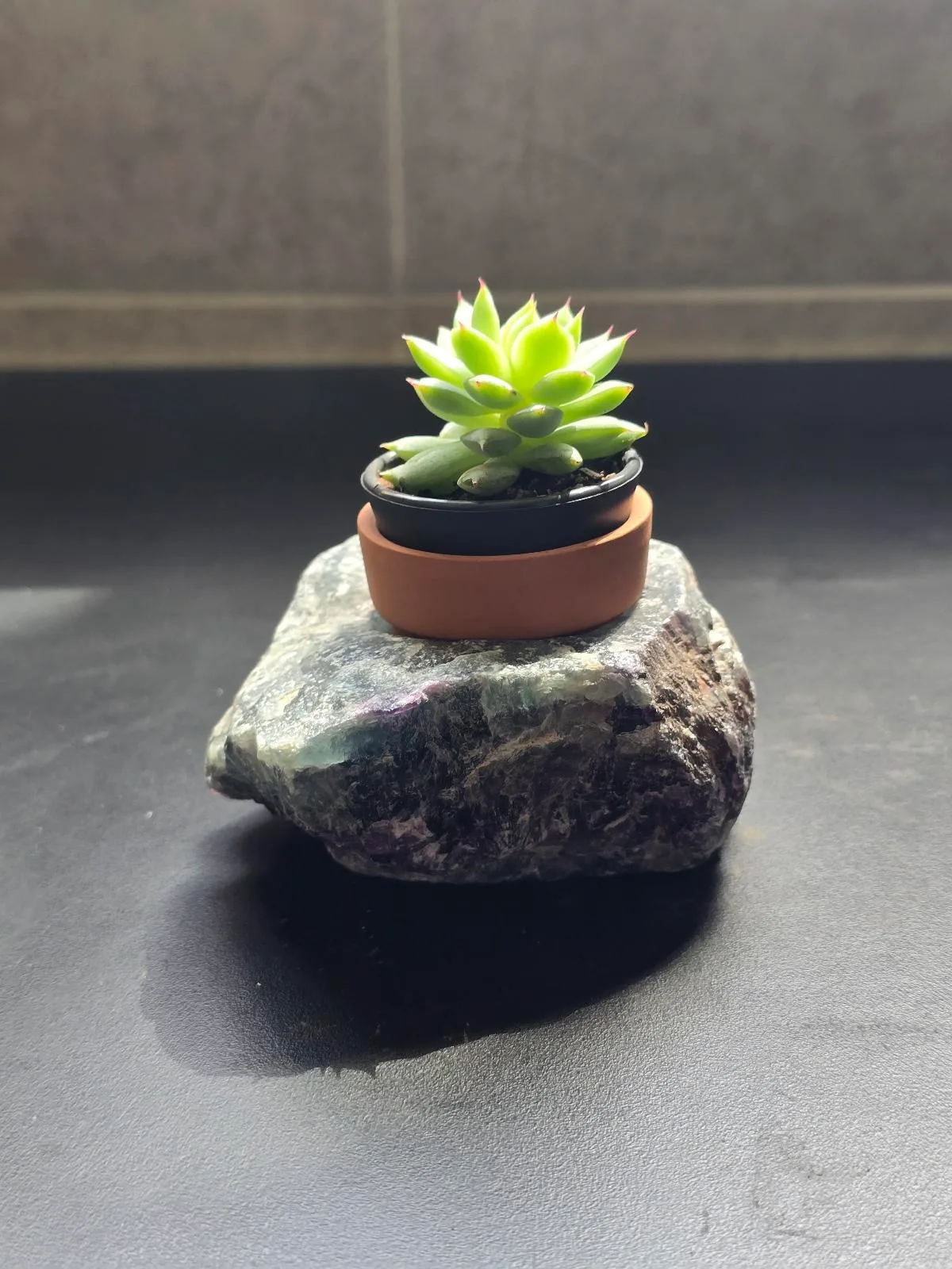 Plant holder – photo 2