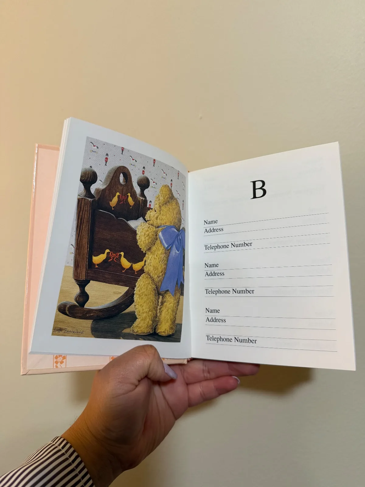 World of Bears — photo 3