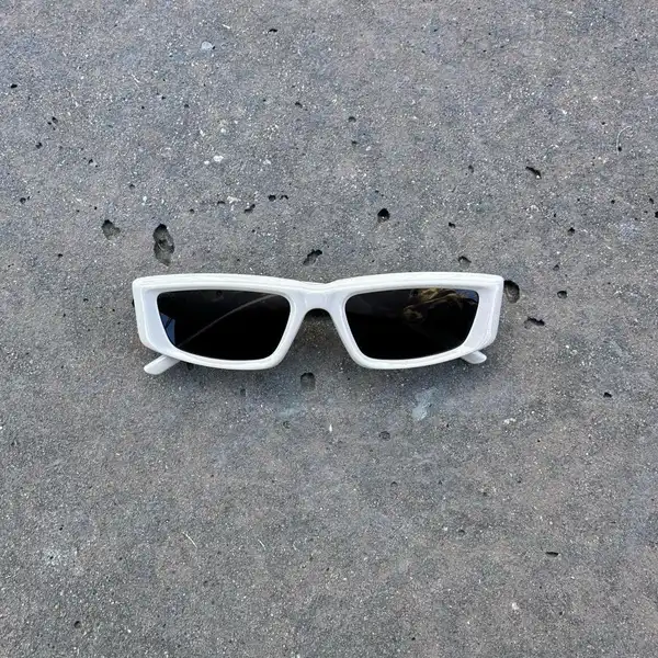 Light Grey Sunglasses | DG19310-01