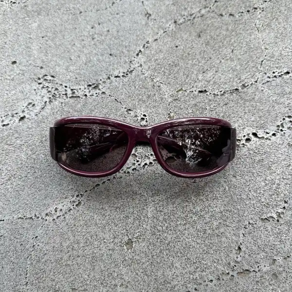 Plum Wraparound Sunglasses | DG17006-03