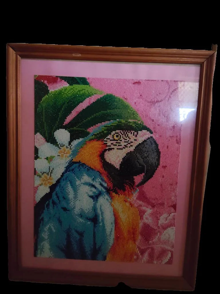 Macaw Diamond art – photo 2