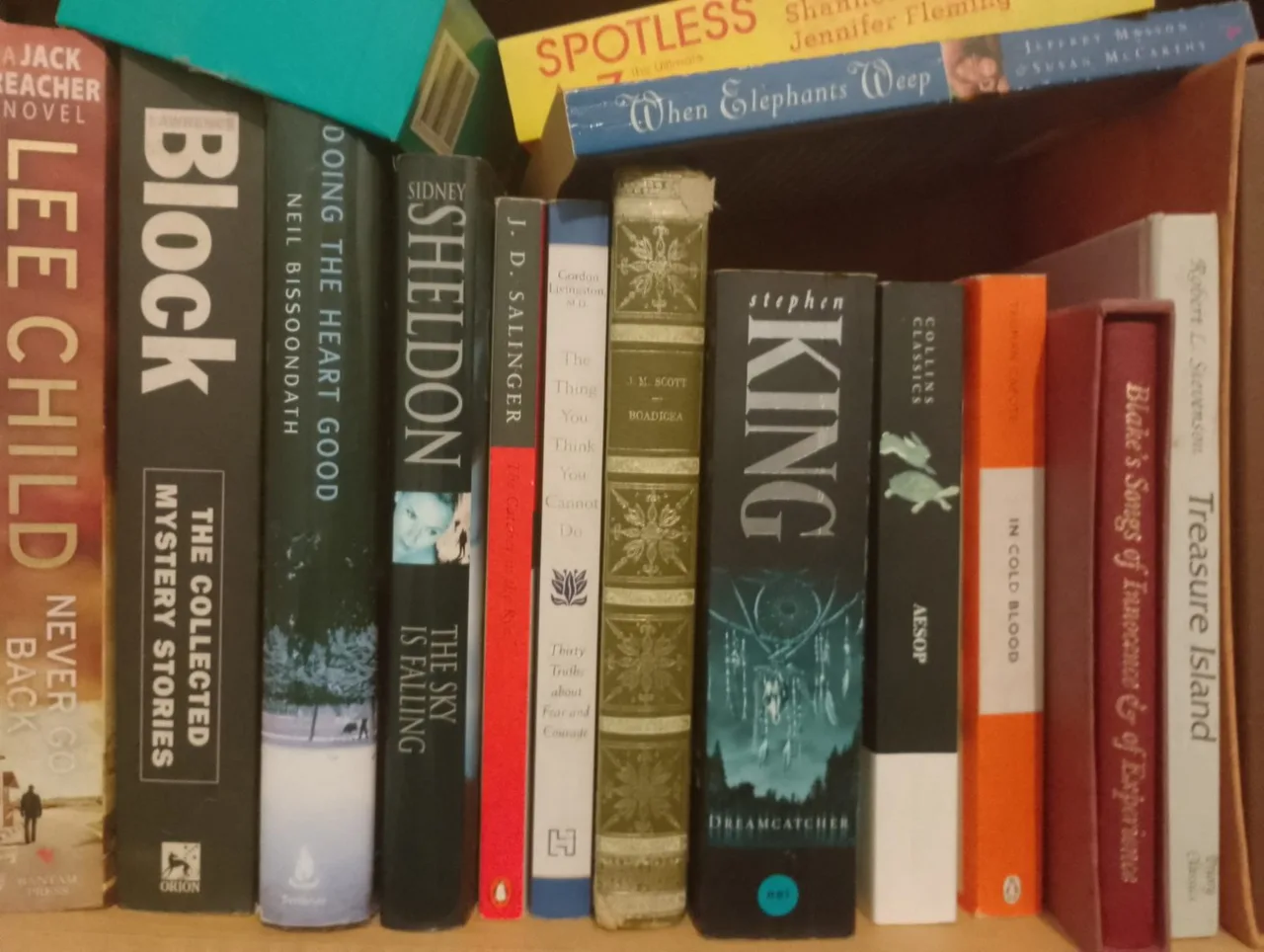 books hard and paper back, novels, collections, vintage/contemporary cookbooks — photo 6