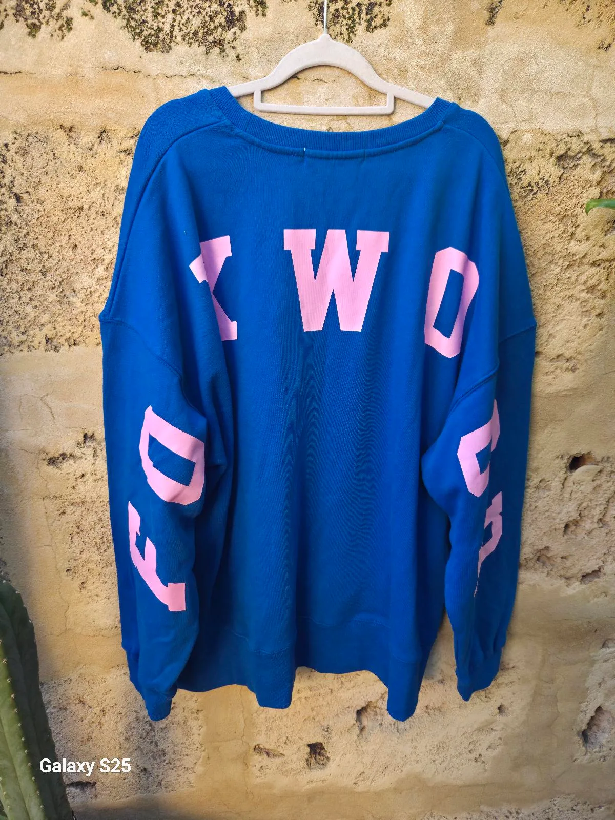 Royal Blue & Pink Oversized Graphic Sweatshirt / Streetwear Crewneck — photo 5