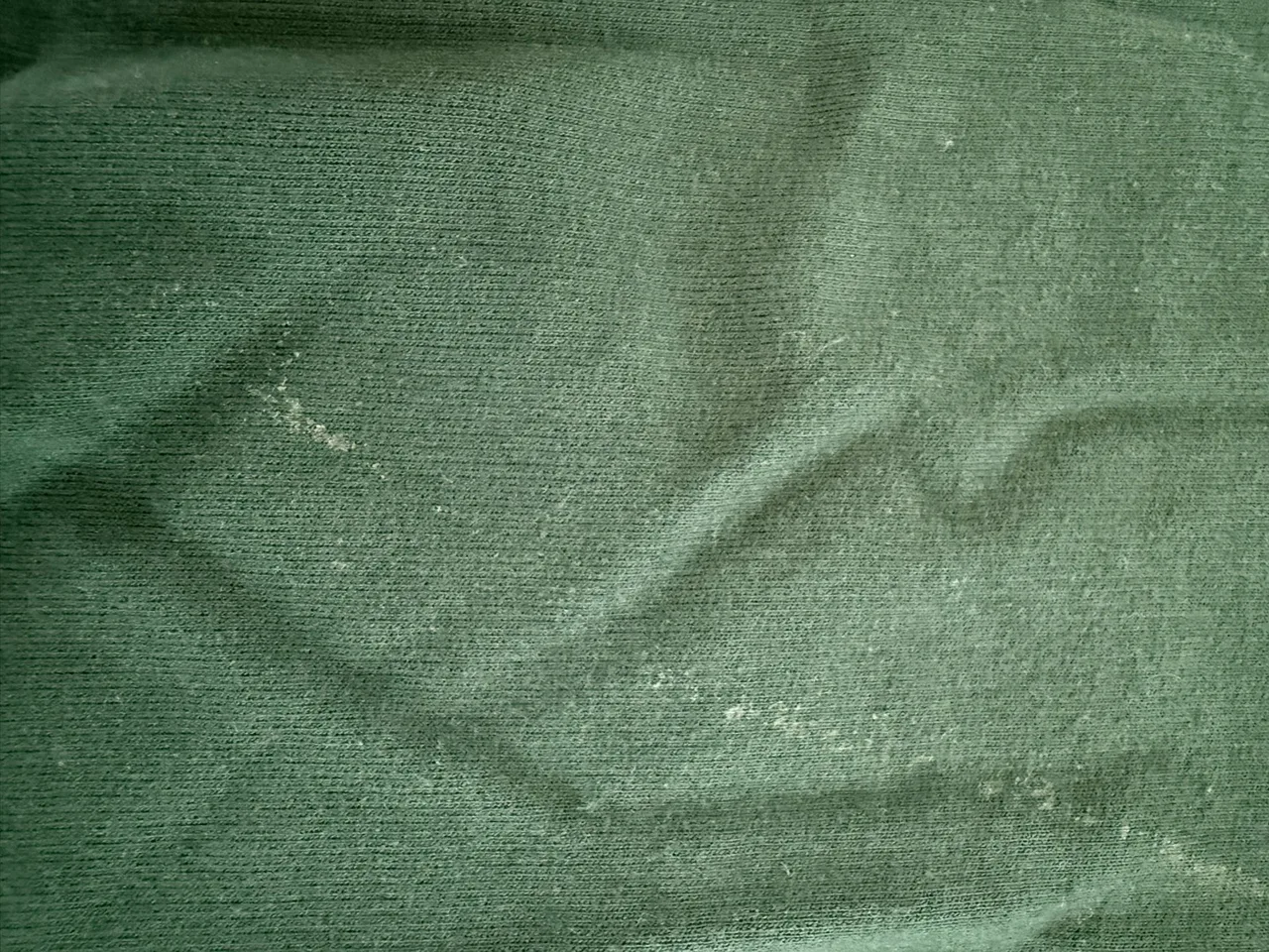 Sportsgirl cropped sweatshirt size xl — photo 3