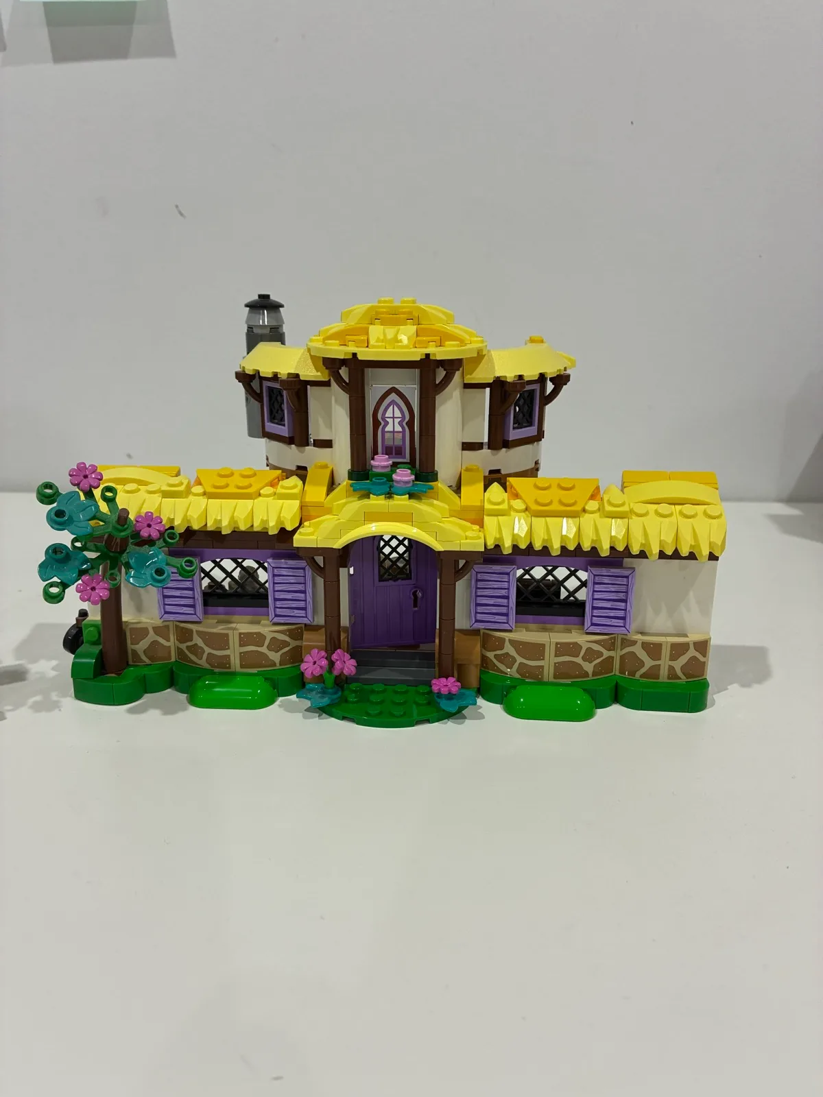 LEGO Disney Asha’s cottage – photo 2